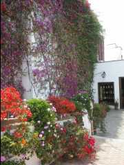 Museo Larco04